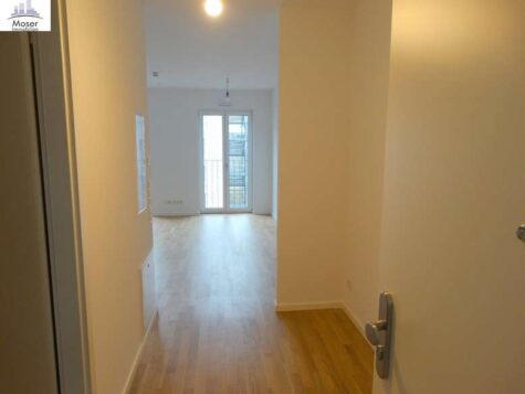 VERMIETET! Schickes 1-Zimmer Apartment (Neubau 2020) mit Balkon, Parkett, EBK – zentr. Ostend Lage, 60314 Frankfurt, Wohnung
