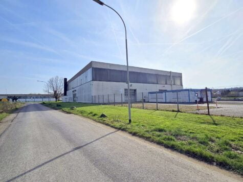 Lager-/Produktionshalle mit vielen Möglichkeiten – gute Anbindung im Gewerbegebiet von Altenstadt, 63674 Altenstadt, Halle