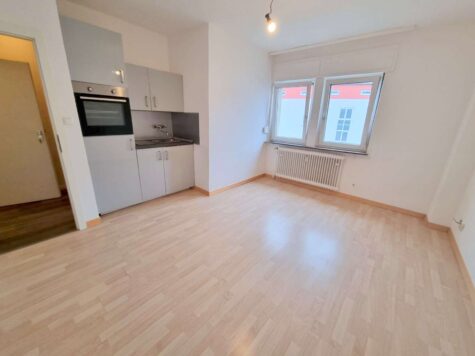 VERMIETET! Neu renoviert! Gemütliches 1 Zimmer Apartment mit Kochnische- zentral in Niederrad, 60528 Frankfurt-Niederrad, Wohnung