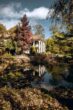 Prachtvolle Villa mit Schwimmbad und Parkgrundstück mit Teich - Hollywood-Feeling im Rheingau! - Ausschnitt Parkanlage